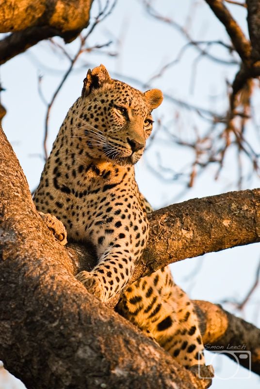 Keeping watch