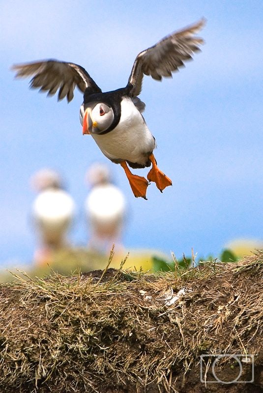 Lining up for take off