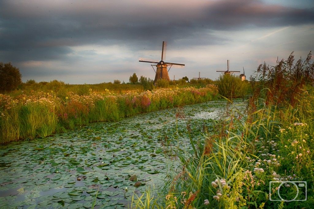 Kinderdijk Windmill