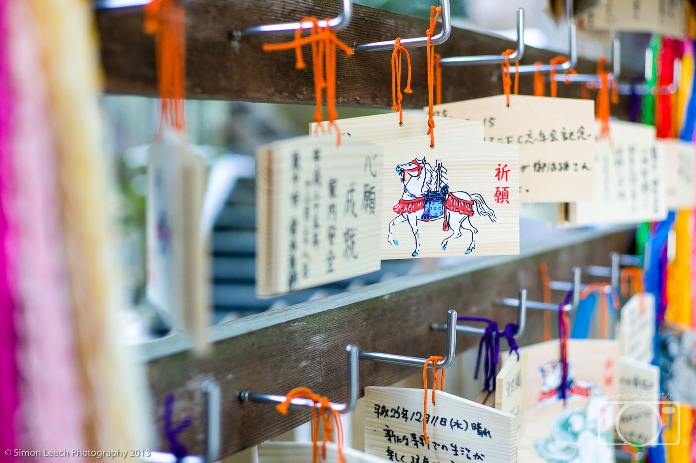 Year of the Horse