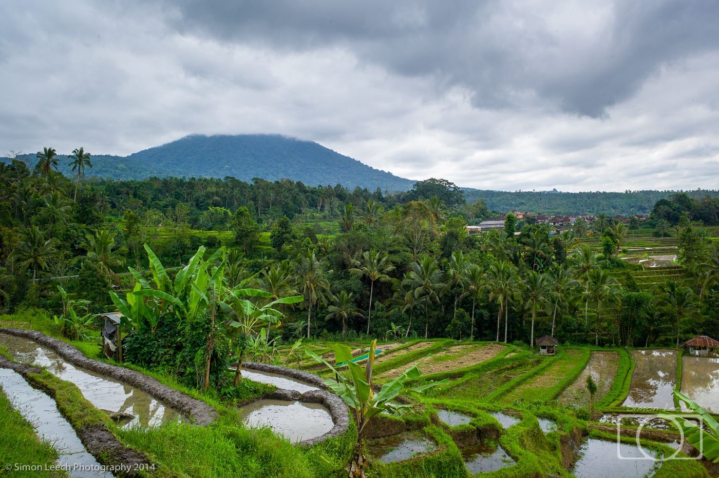 Jatiluwih Rice Fields, Bali: July 2014 (2)