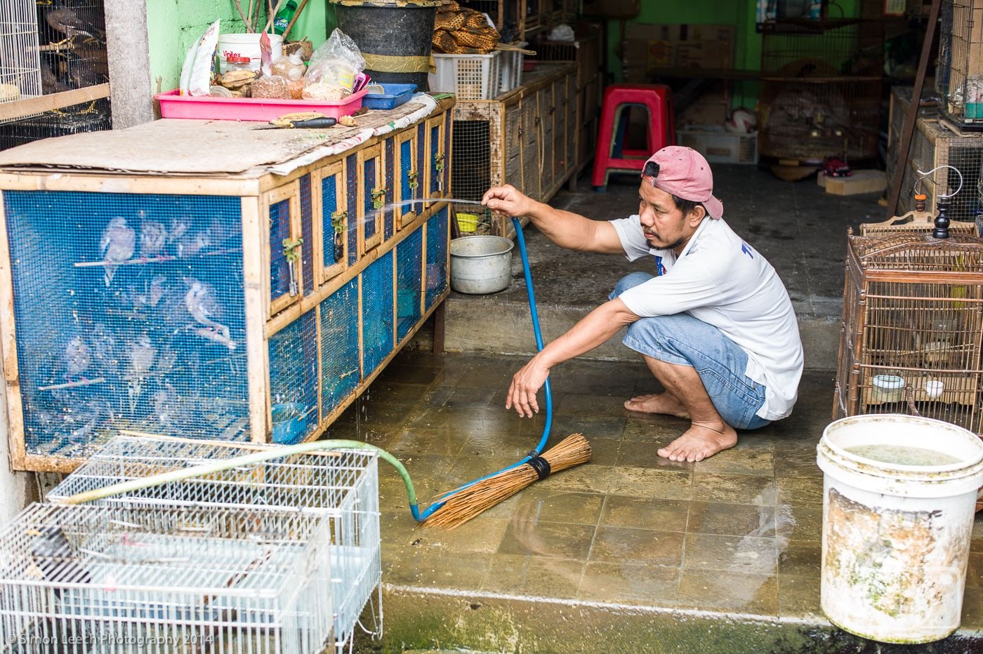 Denpasar Badung Burung (Bird Market), Bali: July 2014 (10)