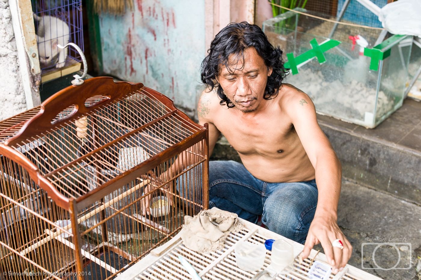 Denpasar Badung Burung (Bird Market), Bali: July 2014 (11)