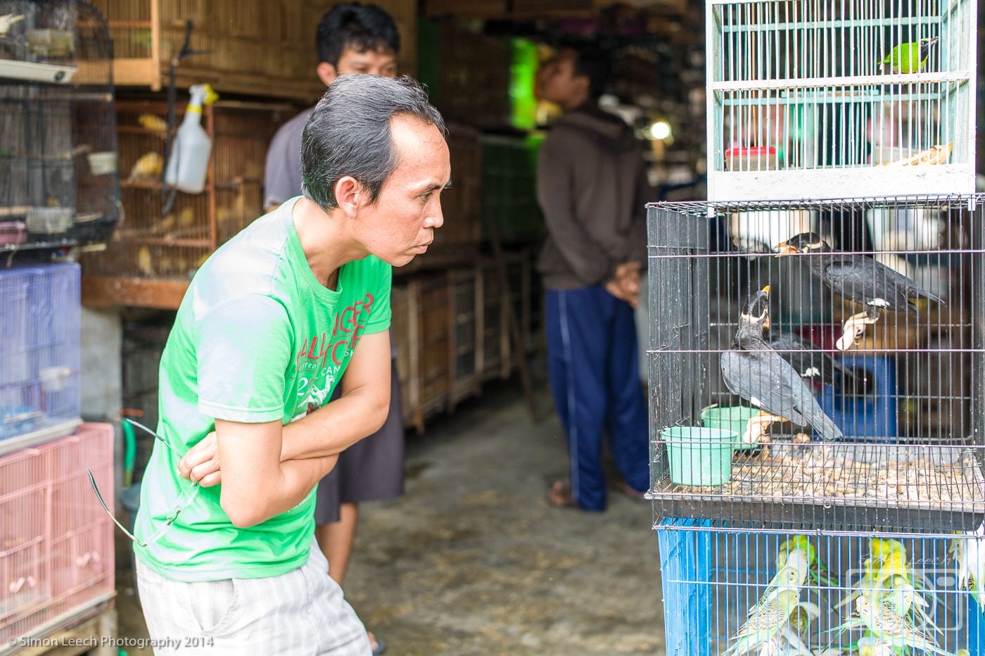 Denpasar Badung Burung (Bird Market), Bali: July 2014 (12)