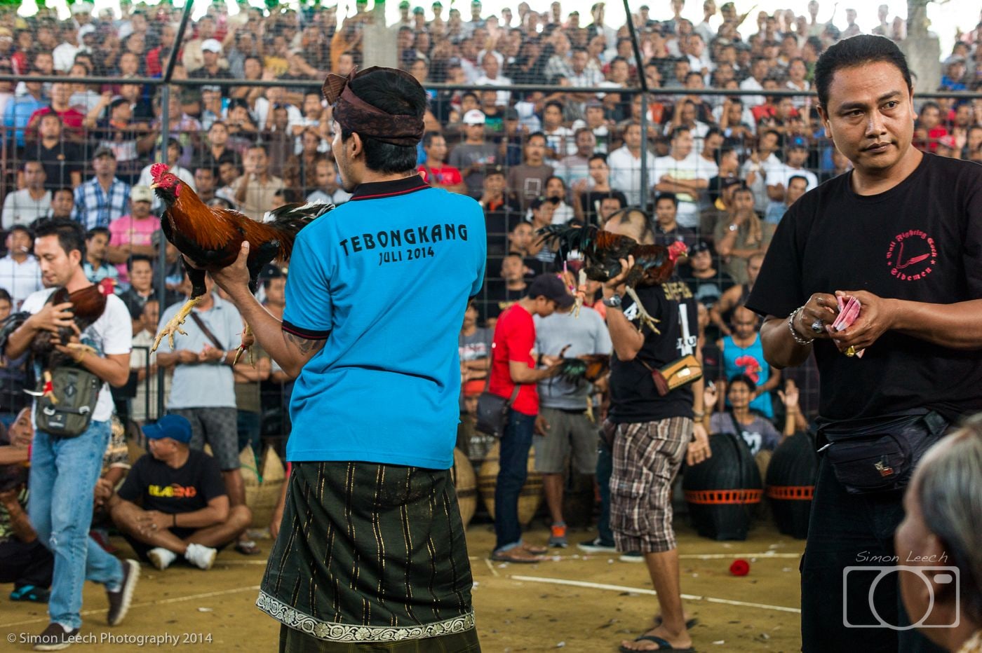 Tajen - Cockfighting in Bali: July 2014 (5)