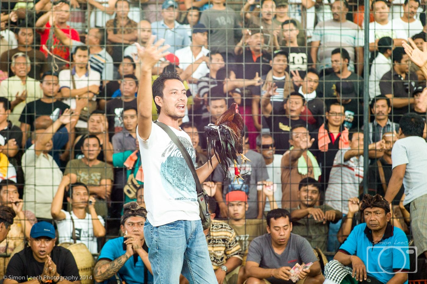 Tajen - Cockfighting in Bali: July 2014 (6)