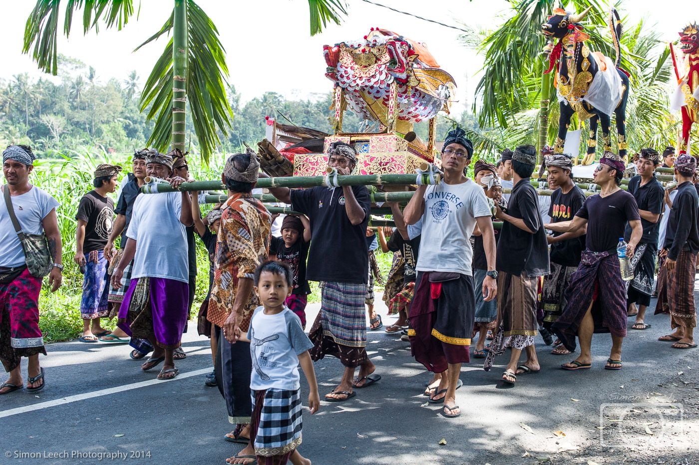 Ngaben Cremation Ceremony, Ubud: July 2014 (8)