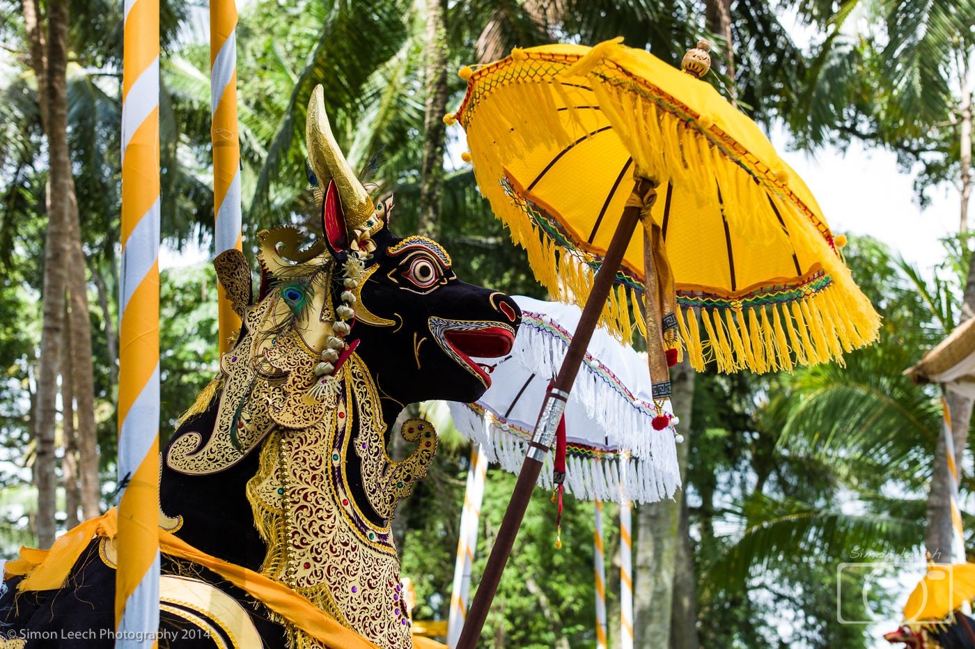 Ngaben Cremation Ceremony, Ubud: July 2014 (21)